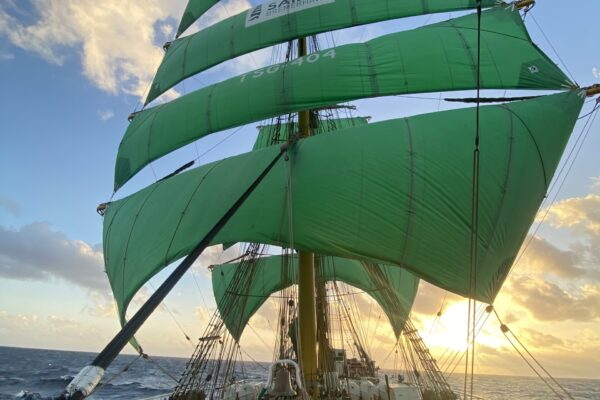 2026_12_18 - 3 2026_12_18 - 3