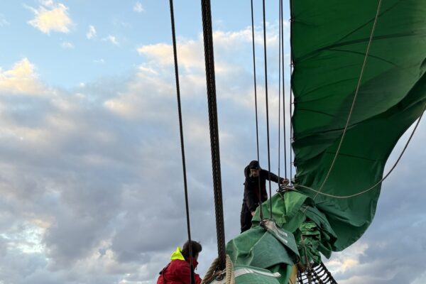 December 03 2025 Photo02