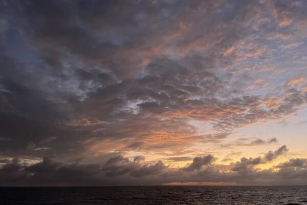 Jan 5 Photo 02 Jan 5 Photo 02