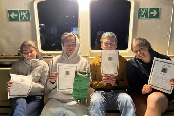 2026-04-13-3 2026-04-13-3